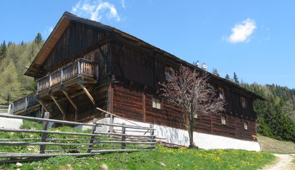 Pertinger Alm 2010