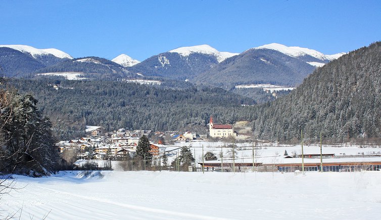 kiens winter chienes inverno