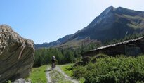Transalp 2010