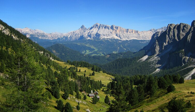 alpe medalges munt d adagn sicht auf fanesgruppe