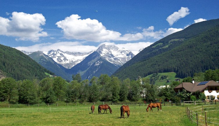 sand in taufers campo tures