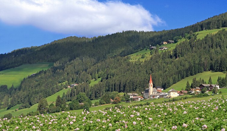 toblach aufkirchen dobbiaco santa maria