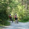 I percorsi nei boschi intorno a San Vigilio offrono varie opportunit&agrave; ai mountain bikers. Foto: AT, &copy; Peer