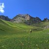 Splendidi prati si estendono ai piedi del Sasso Putia. Foto: EMS, &copy; Peer
