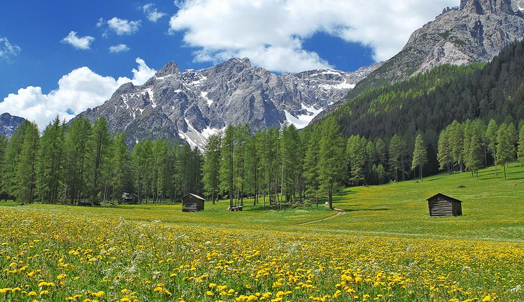 Escursione Val Fiscalina - Sesto - Alta Pusteria - Val Pusteria Escursione Val Fiscalina - Sesto - Alta Pusteria - Val Pusteria