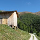 Forstweg Richtung Klammbachalmund Nemeshuette