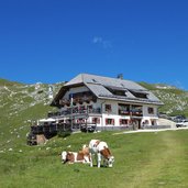 rifugio sennes huette alm kuehe