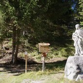 herbstlandschaft silvestertal am toblacher hoehenweg