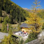 silvestertal silvesteralm herbst wald