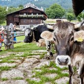 Volkskundemuseum Dietenheim Freigelaende