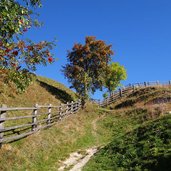 weg a platten zur goenneralm