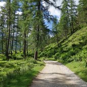 ueber die joecher wege von villgraten nach toblach und gsies bei alfenalm