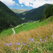 villgraten blick richtung kalkstein