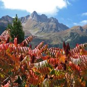 Weissenbach Herbst Berge Blaetter rot