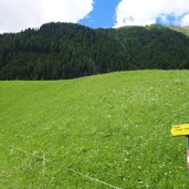 wegweiser peststeig nach kalkstein