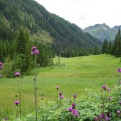 landschaft innervillgraten richtung unterstalleralm