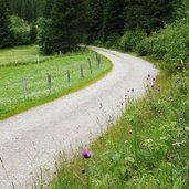 villgratental wanderweg unterstalleralm