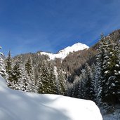 winterwald valser tal schnee