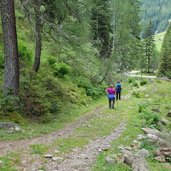 innervillgraten arntal von unterstalleralm zur oberstalleralm wanderweg