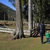 tierpark toblach