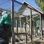 tierpark toblach