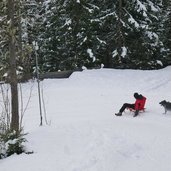 rodelbahn weissenbach ahrntal winter hund