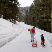 winterweg rodelbahn taistner alm