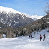 schneeschuhwanderer im wurmtal bei pircher alm weissenbach ahrntal