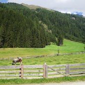 almweg winkeltal ausservillgraten