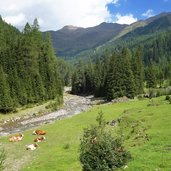 niederbrugger alm winkeltal