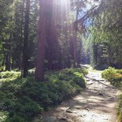 weg bei kasern im roettal Salita verso la Roetalm