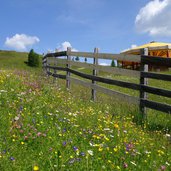 wiesen bei sillian bergstation thurntaler