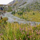 roettal heidelandschaft weg b unter moschbachwand