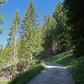 forstweg pojer almen