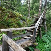 holz stiege weg richtung hofstatt alm