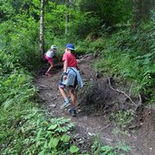 waldweg