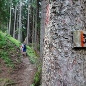 waldweg nr zur hofstatt alm