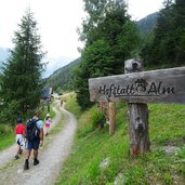 hofstatt alm