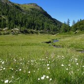 pojentalbach bei pojermoos