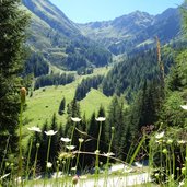 blick richtung kesselhoehe und stollen karnischer kamm