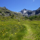 pojenalm weg dahinter grosser moosstock