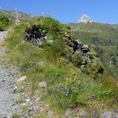 letzer wegabschnitt am tilliacher joch