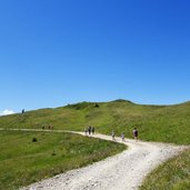 wanderweg feldweg unter golzentipp