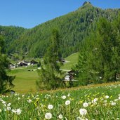 wiesen bei lappach prati presso lappago