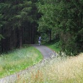 pustertal drau radweg bei strassen