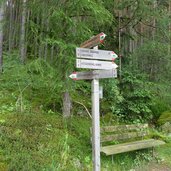 stegerbuehelrunde bei schabs