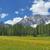 Sexten Fruehling Fischleintal val fiscalina sesto pusteria