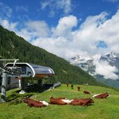 k kabinenbahn klausberg klaussee kuehe