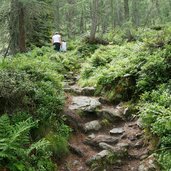 weg nr richtung klaussee