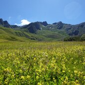 wiesen bei stinalm fr